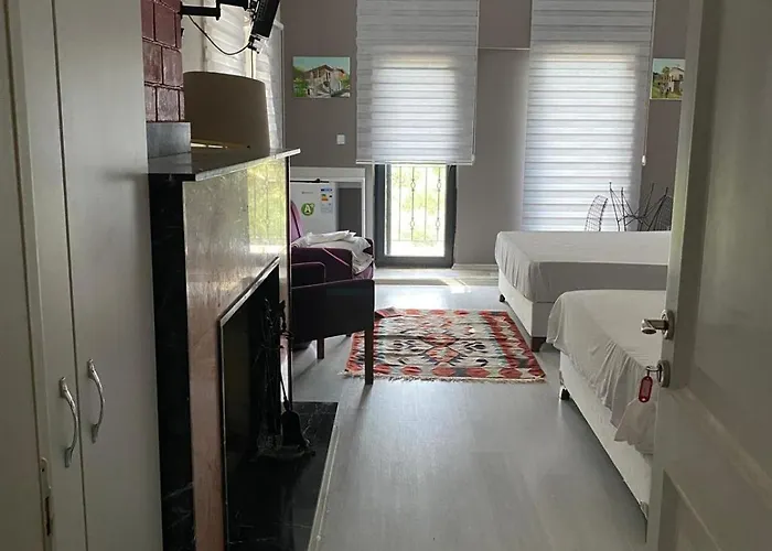 Lotus 4 Mevsim فندق *