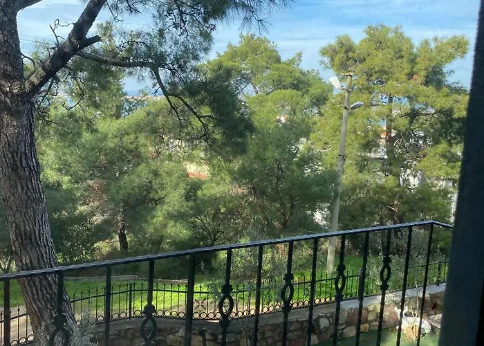 Lotus 4 Mevsim فندق